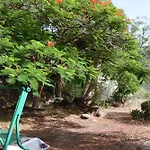 La Casa De Pinos *