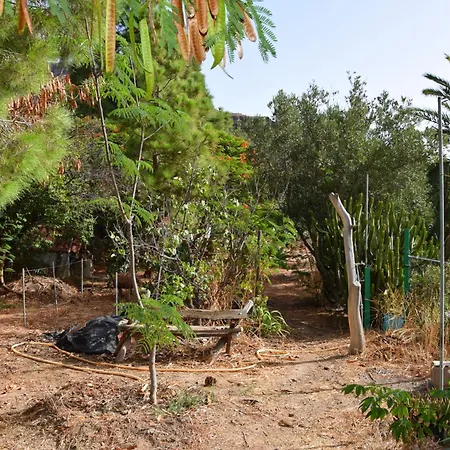 La Casa De Pinos