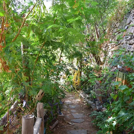 La Casa De Pinos