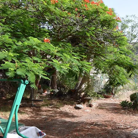La Casa De Pinos *