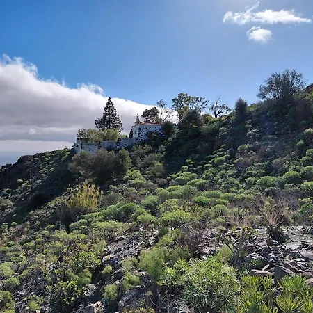 La Casa De Pinos Temisas