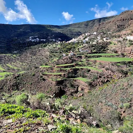 La Casa De Pinos Temisas