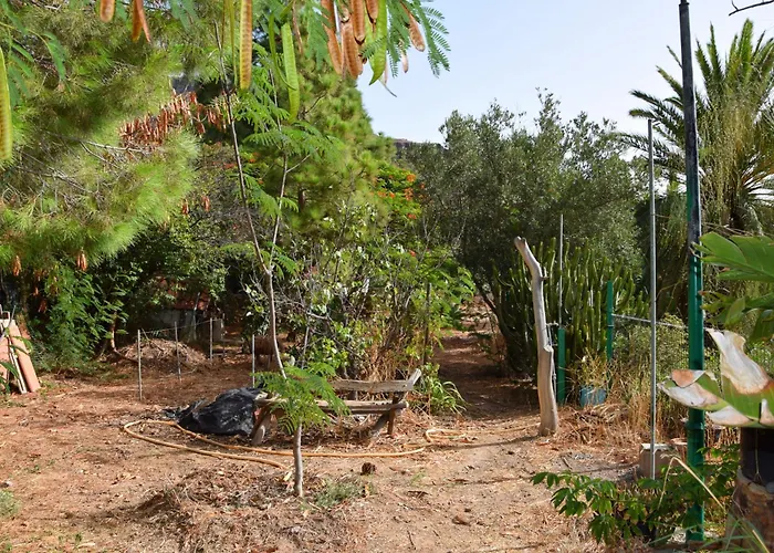 La Casa De Pinos