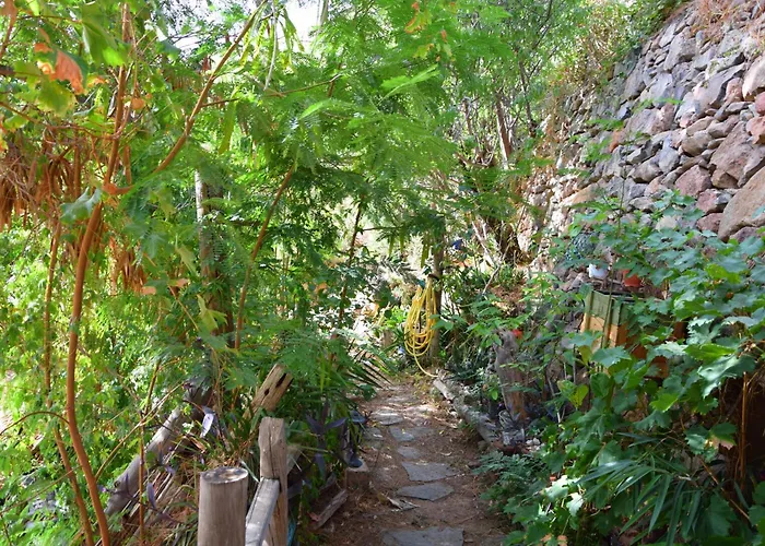 La Casa De Pinos