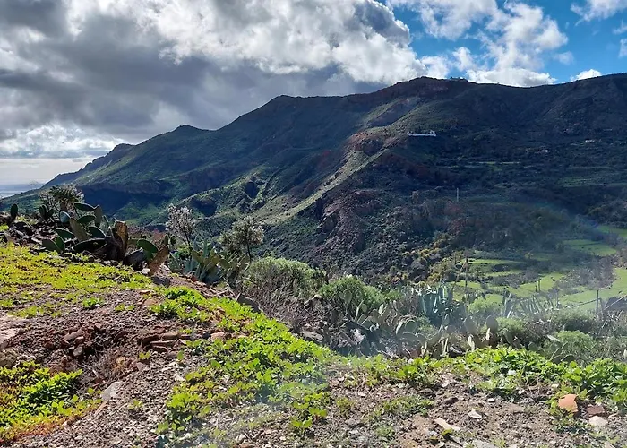La Casa De Pinos Temisas