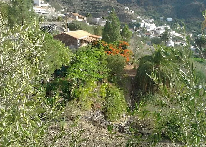 La Casa De Pinos Alpstuga *
