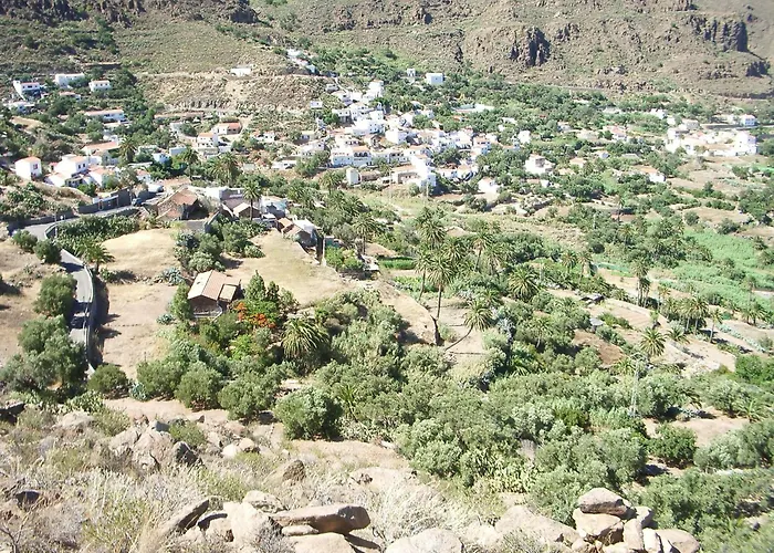 La Casa De Pinos *